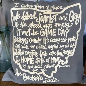 Ohio Buckeye State Decorative Pillow Baxter & Me Gray Game Day Ohio Home Decor